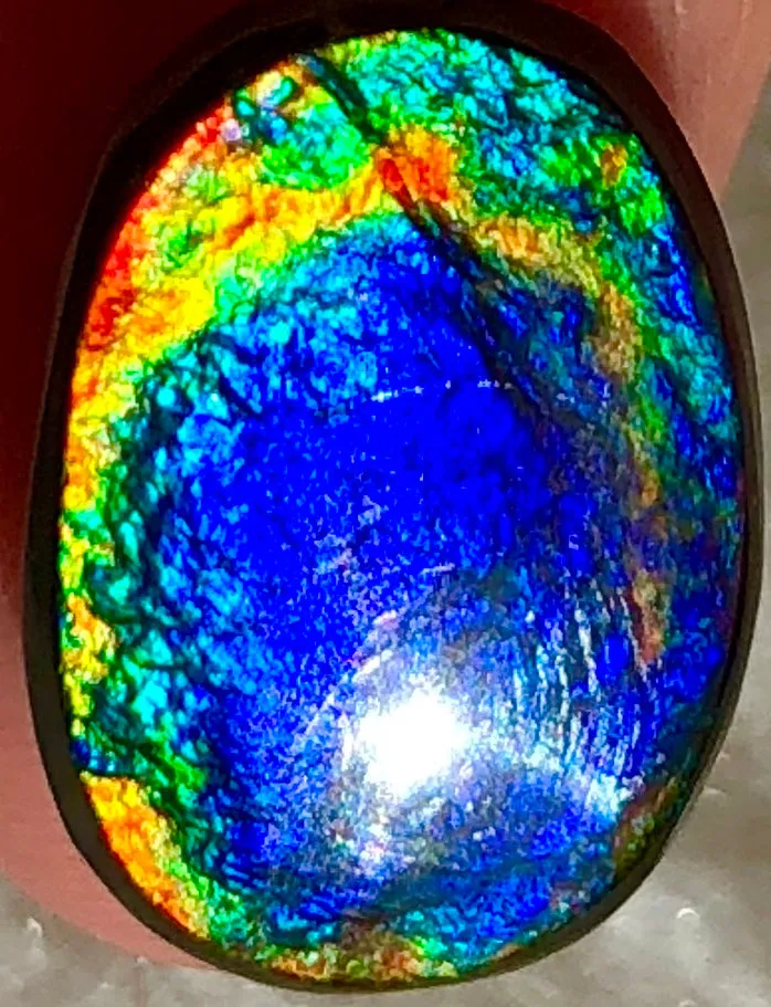 17  x 11.5 mm  Natural  Free Form . FFNT 100 Ammolite  ナチュラル　ルース　アンモライト フリーフォーム