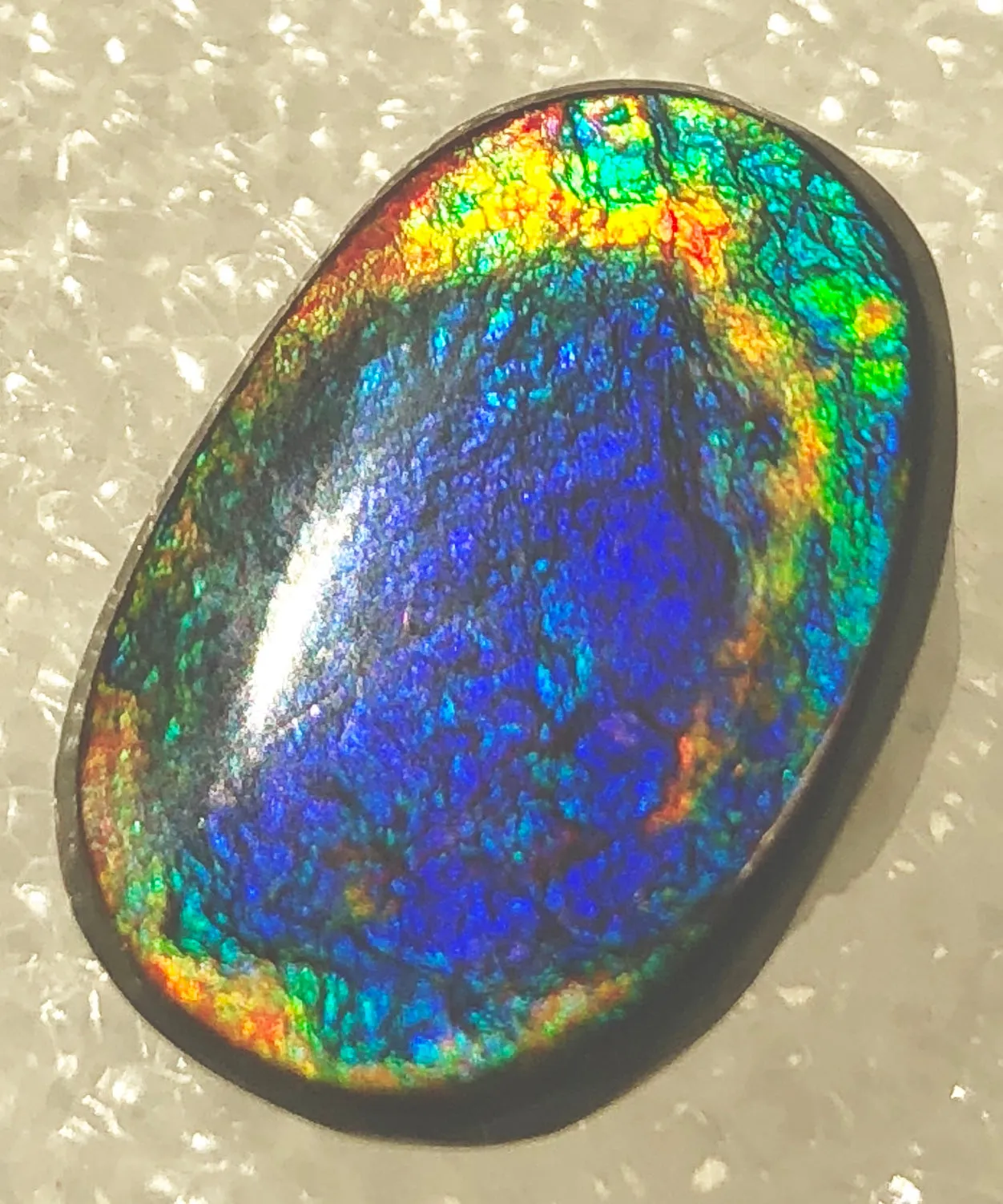 17  x 11.5 mm  Natural  Free Form . FFNT 100 Ammolite  ナチュラル　ルース　アンモライト フリーフォーム