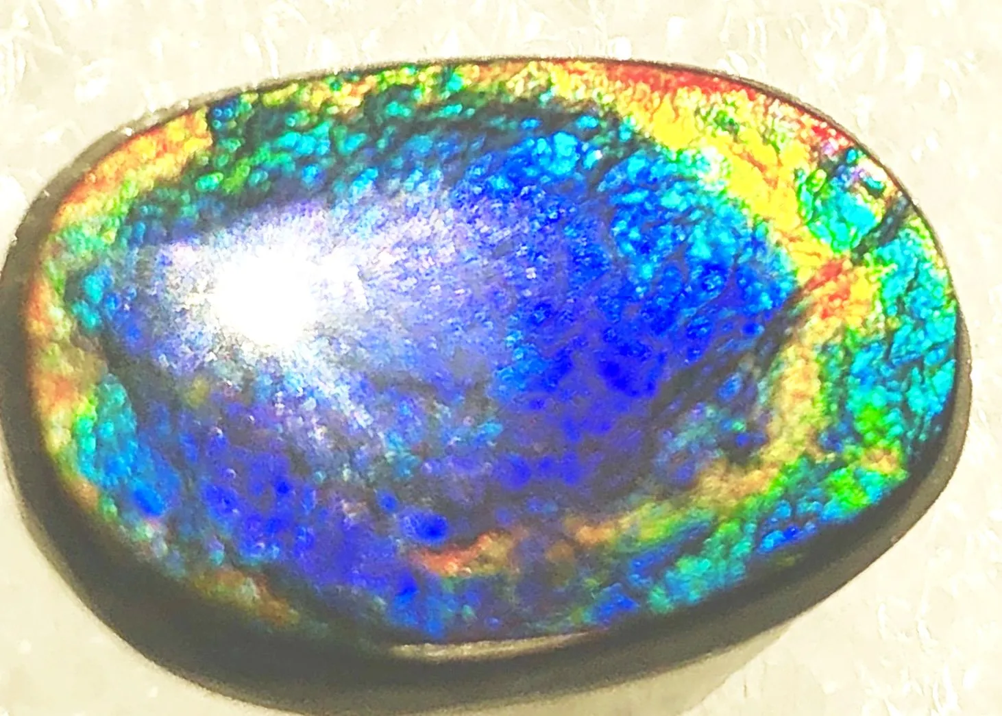 17  x 11.5 mm  Natural  Free Form . FFNT 100 Ammolite  ナチュラル　ルース　アンモライト フリーフォーム