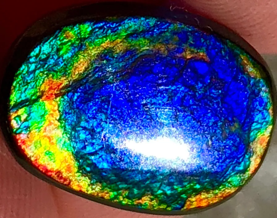 17  x 11.5 mm  Natural  Free Form . FFNT 100 Ammolite  ナチュラル　ルース　アンモライト フリーフォーム