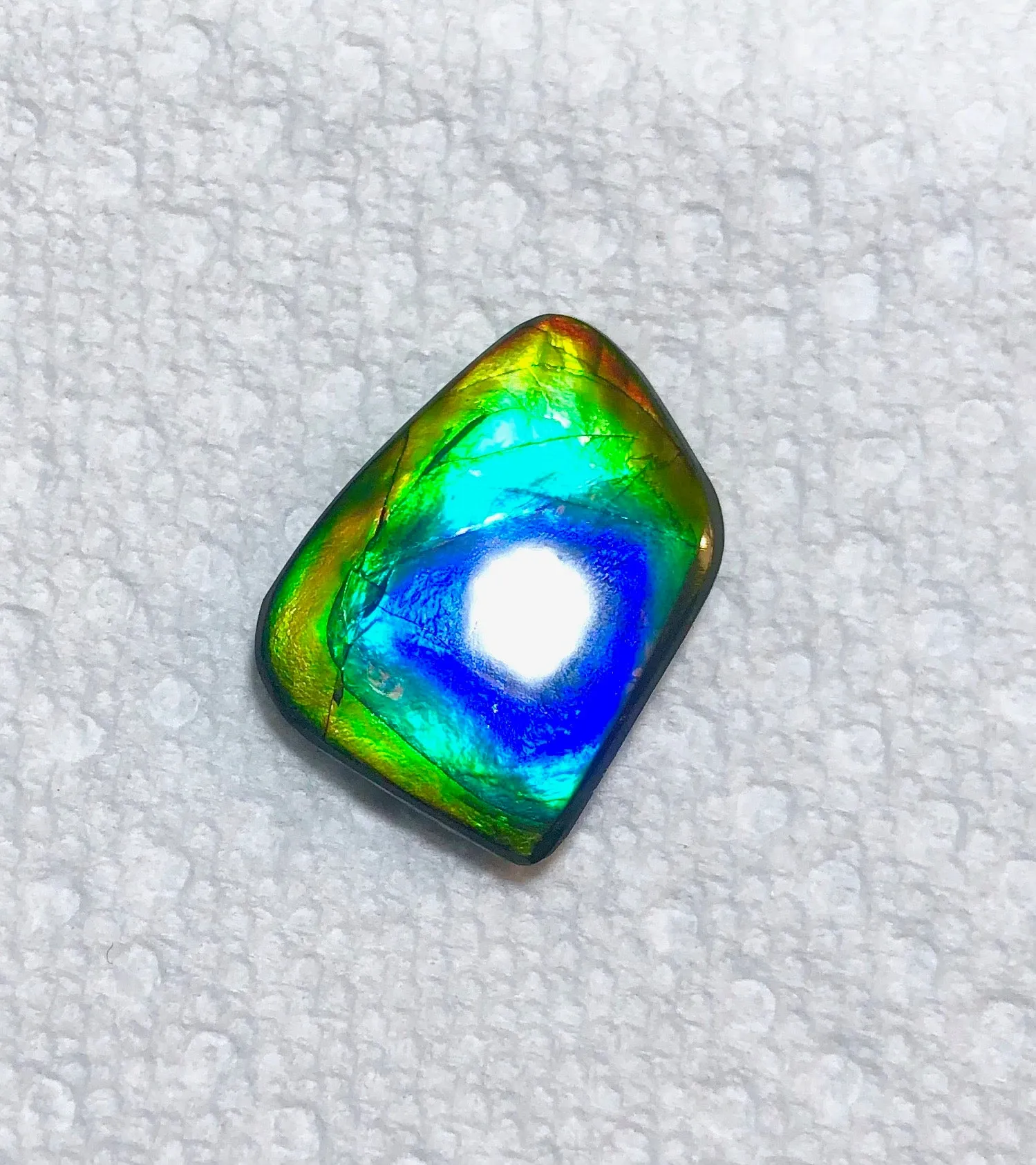 29.5 x 20 mm  Natural  Free Form . FFN 369 Ammolite  ナチュラル　ルース　アンモライト フリーフォーム