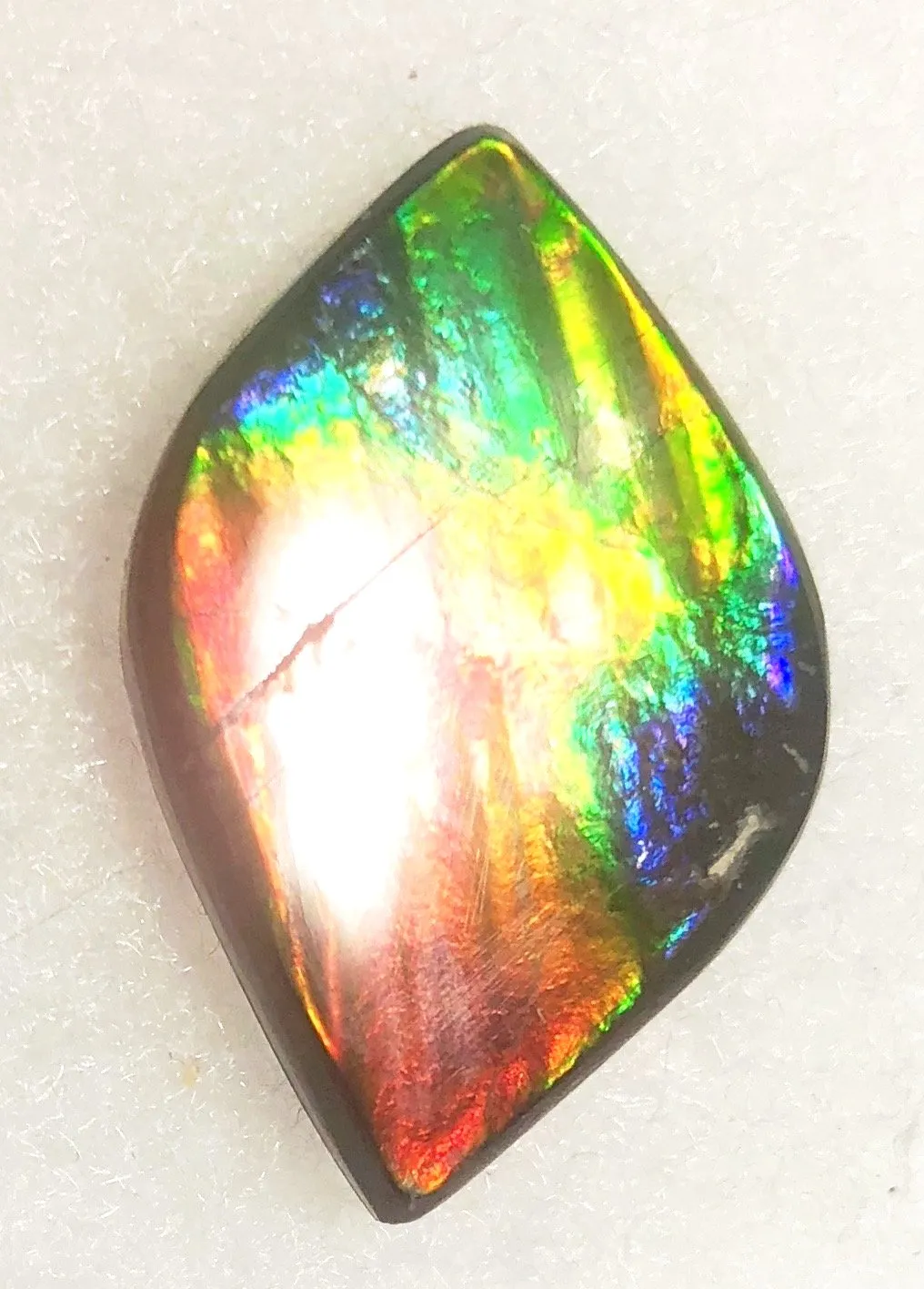 32  x 21 mm  Natural  Free Form . FFN 344 Ammolite  ナチュラル　ルース　アンモライト フリーフォーム