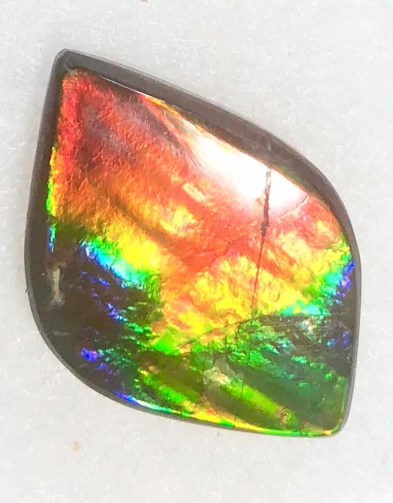 32  x 21 mm  Natural  Free Form . FFN 344 Ammolite  ナチュラル　ルース　アンモライト フリーフォーム