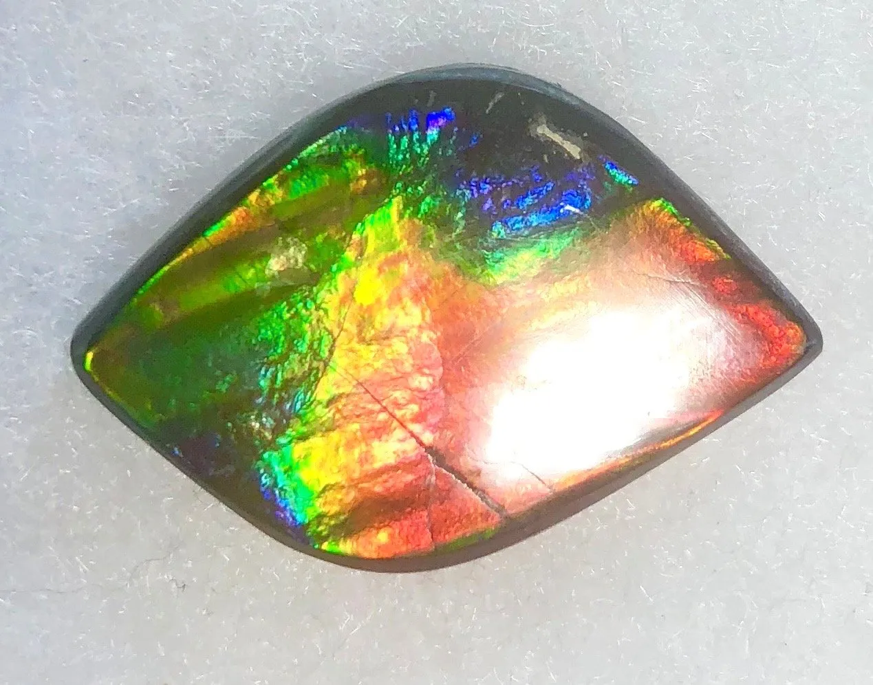32  x 21 mm  Natural  Free Form . FFN 344 Ammolite  ナチュラル　ルース　アンモライト フリーフォーム