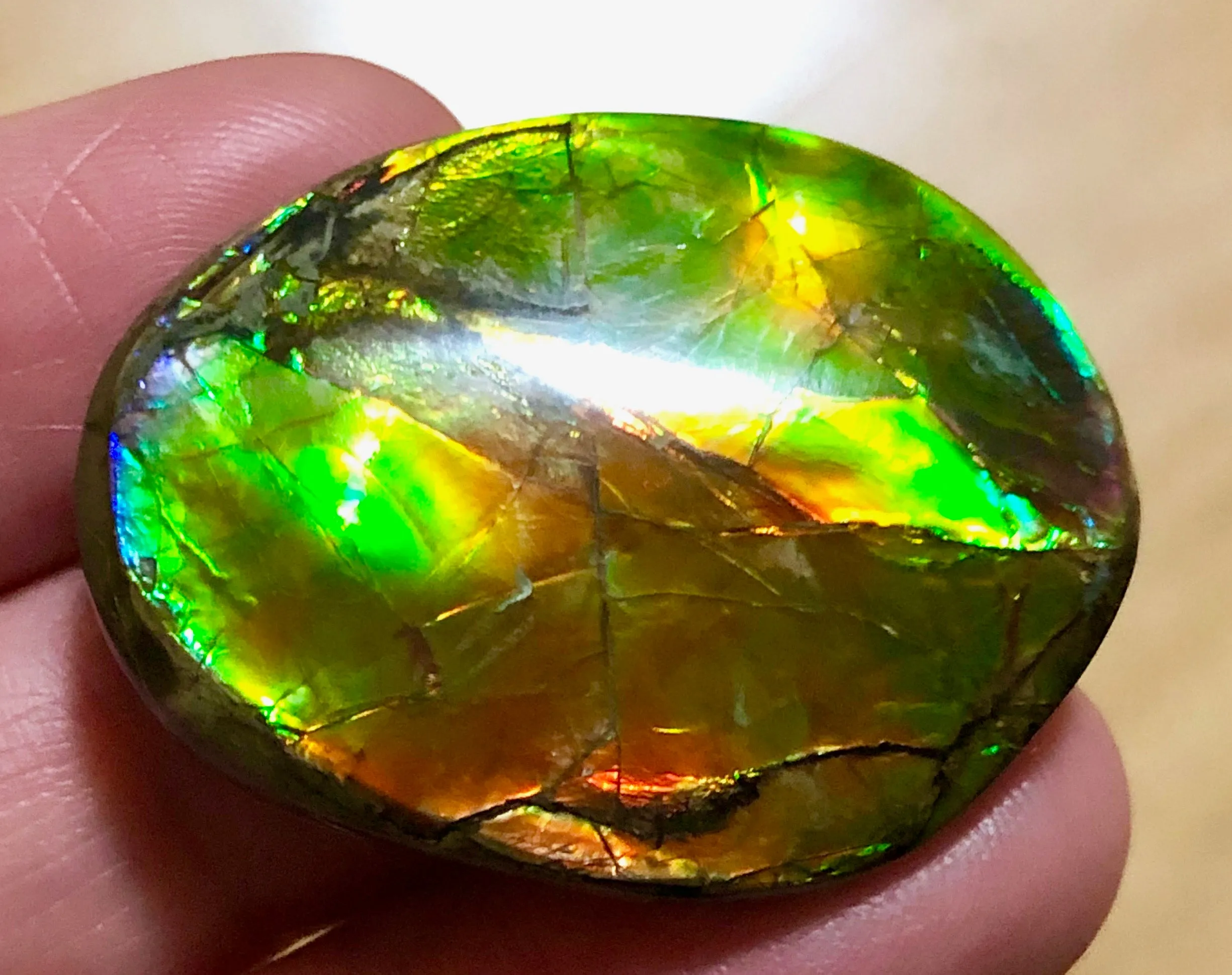 34x25mm    Natural  Free Form . FFN361  Ammolite  ナチュラル　ルース　アンモライト フリーフォーム