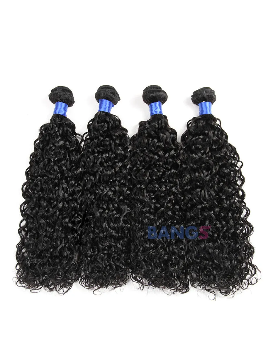 4 Bundles With Closure Brazilian Virgin Hair-Water Wave