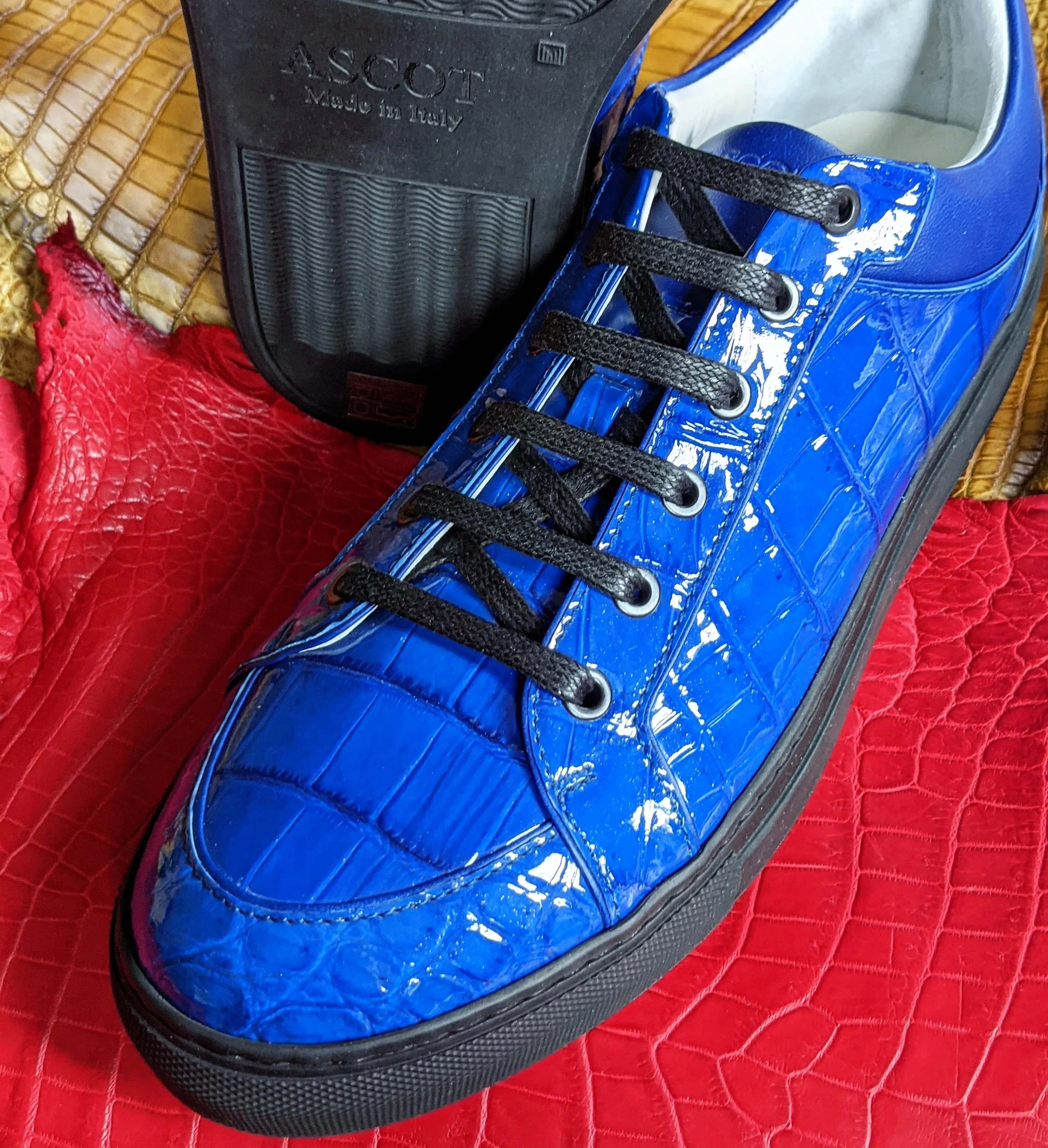 Ascot Sneakers - Electric Blue