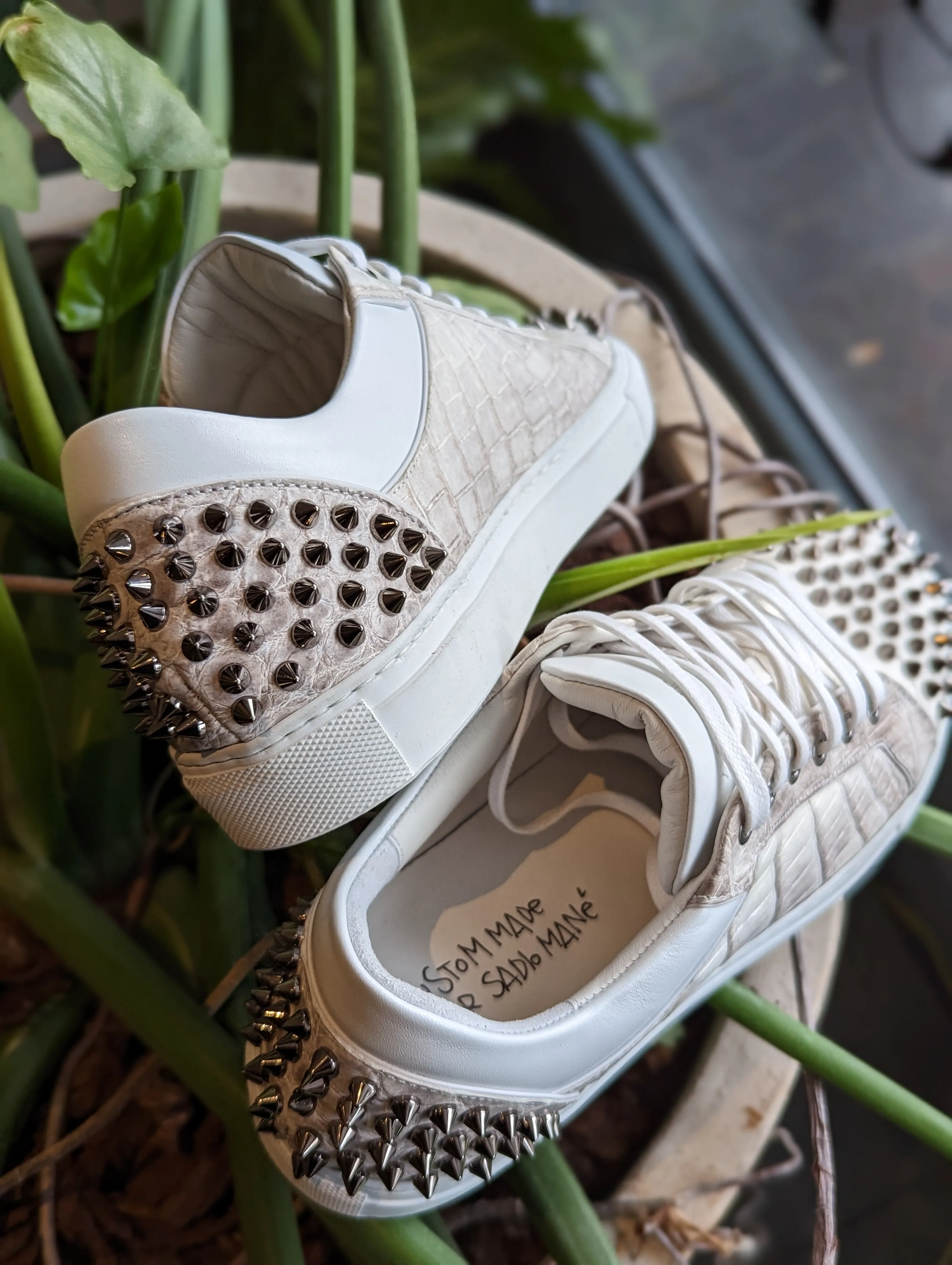 Ascot Sneakers -  Himalayan Crocodile with Studs