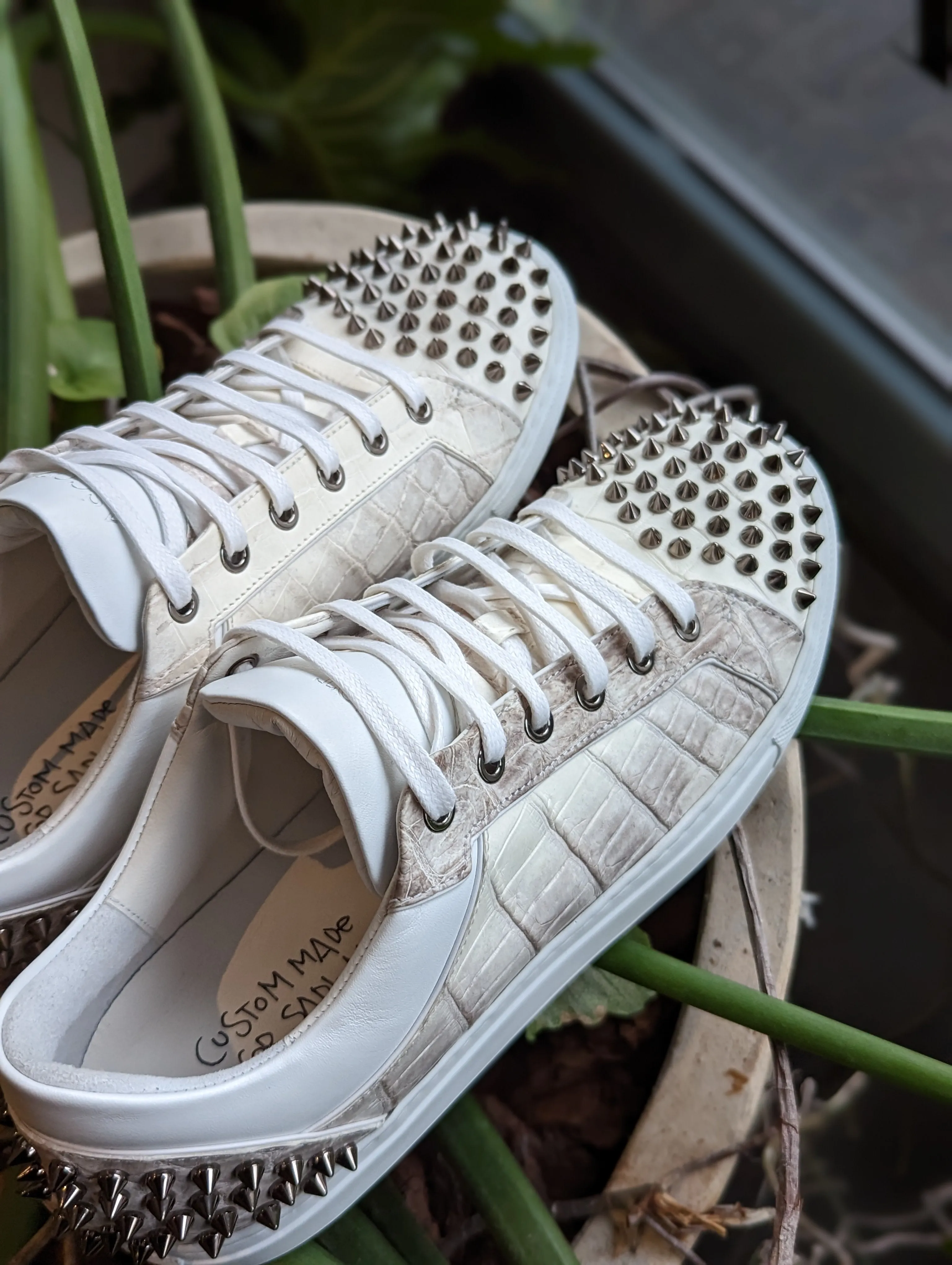Ascot Sneakers -  Himalayan Crocodile with Studs