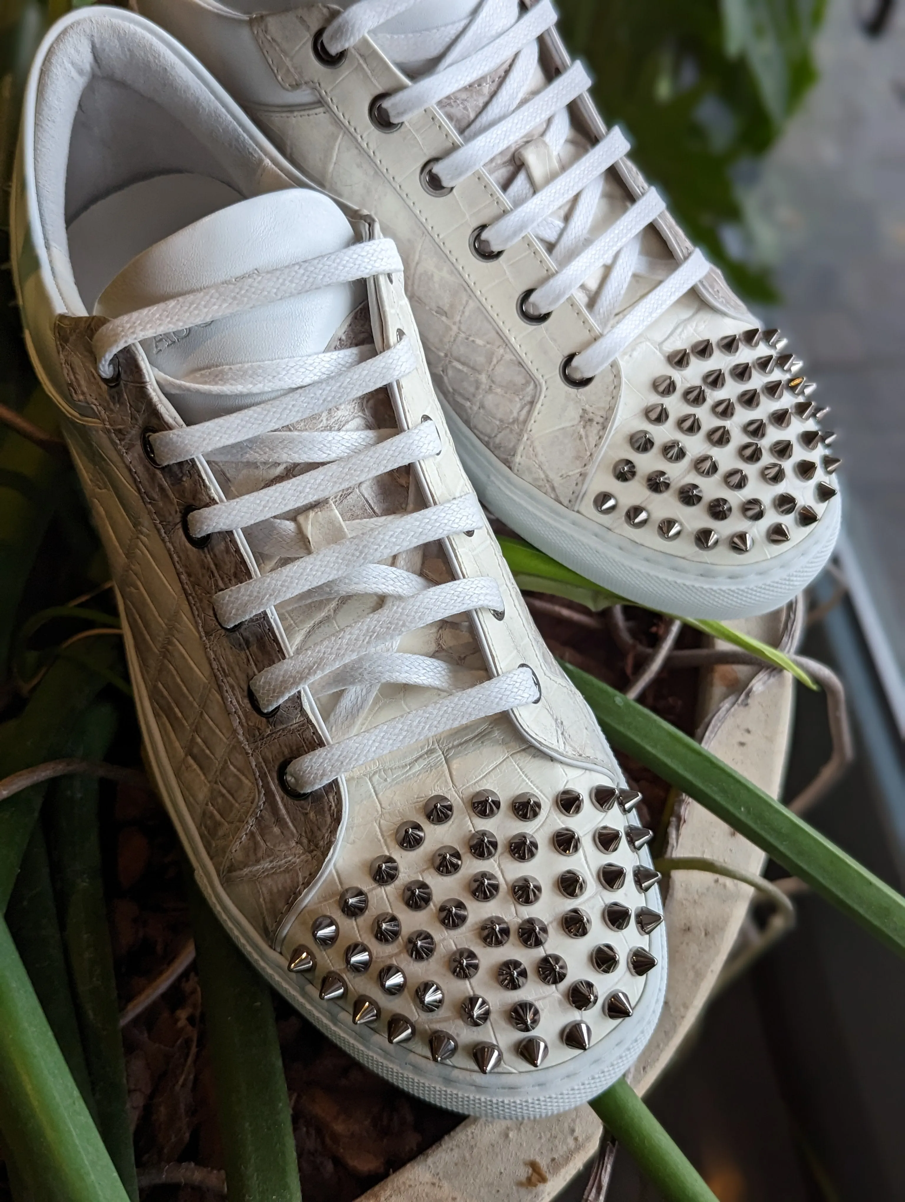 Ascot Sneakers -  Himalayan Crocodile with Studs