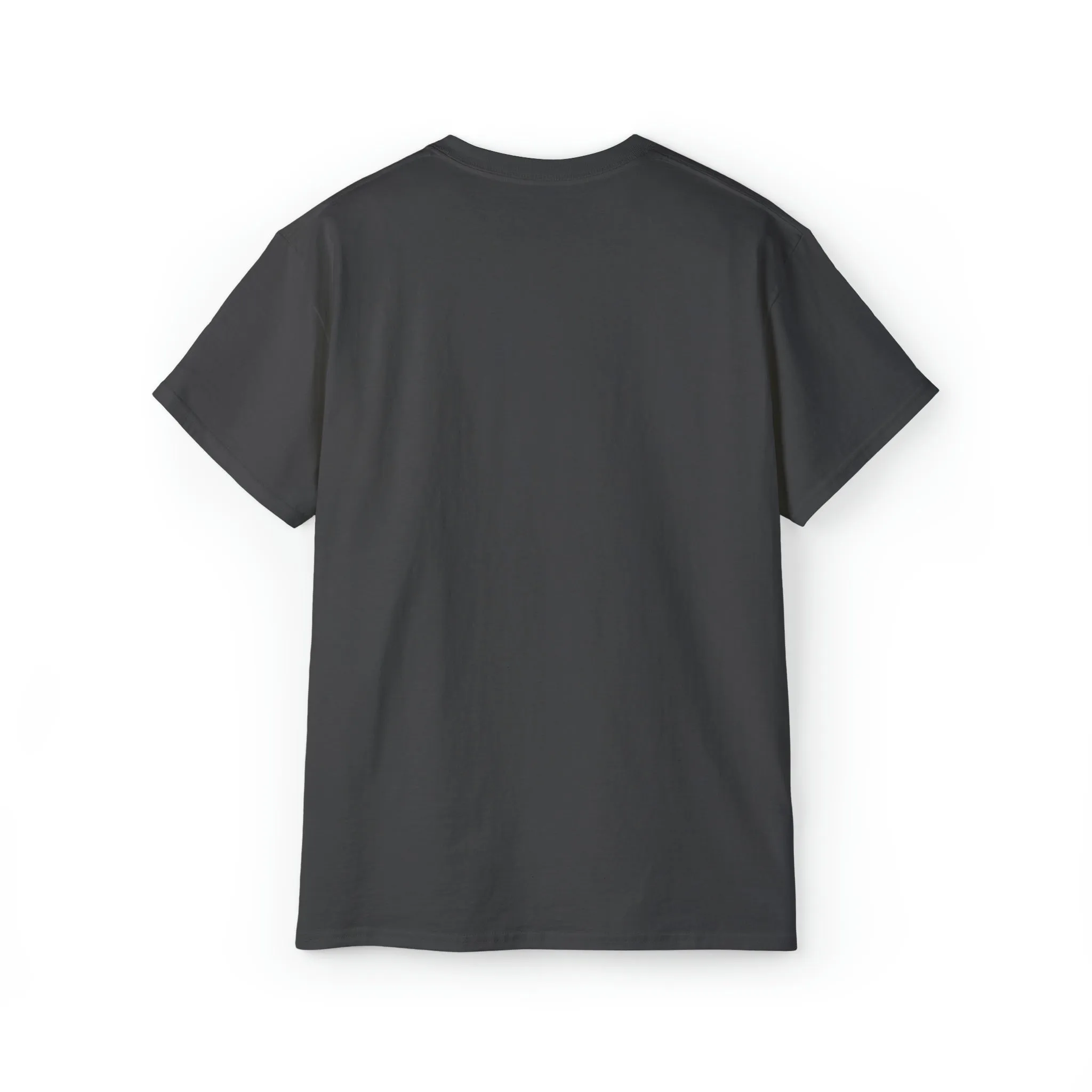 Ashburn Virginia T-Shirt