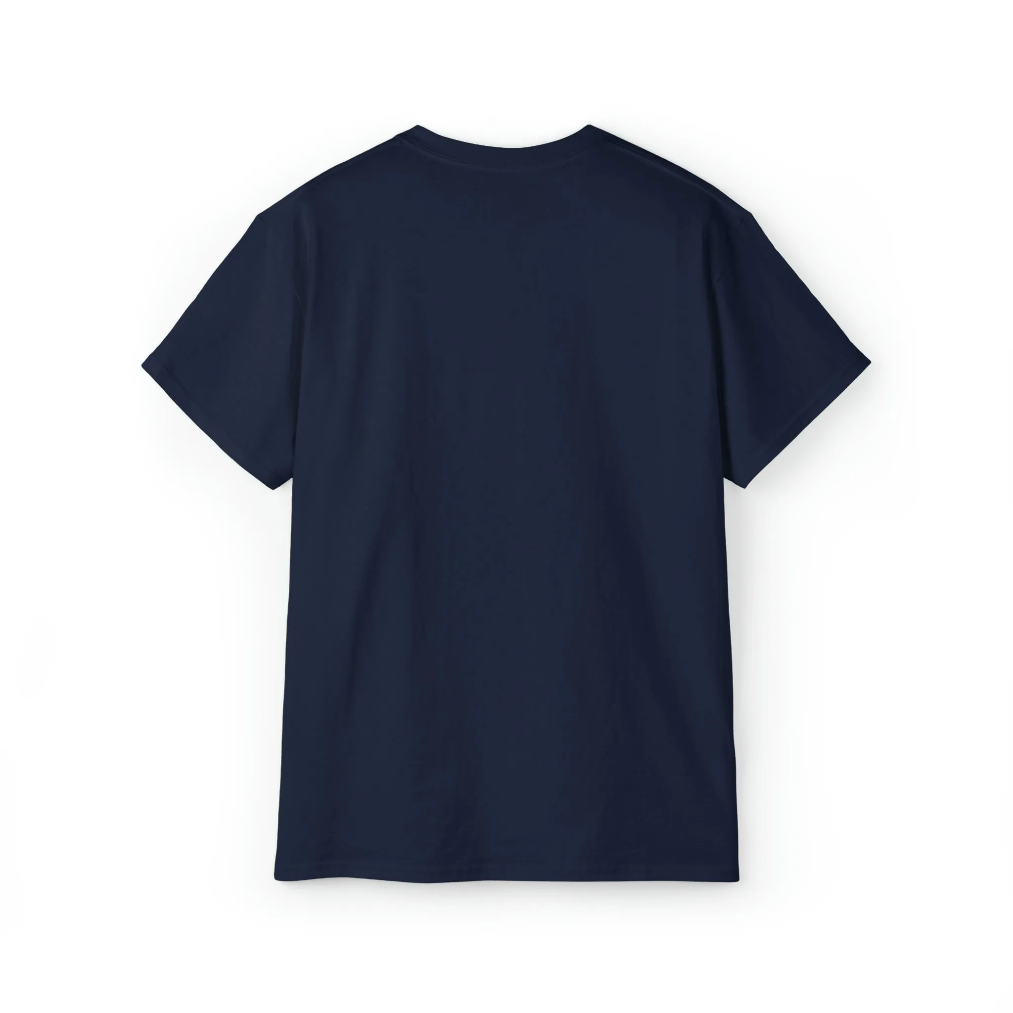 Ashburn Virginia T-Shirt