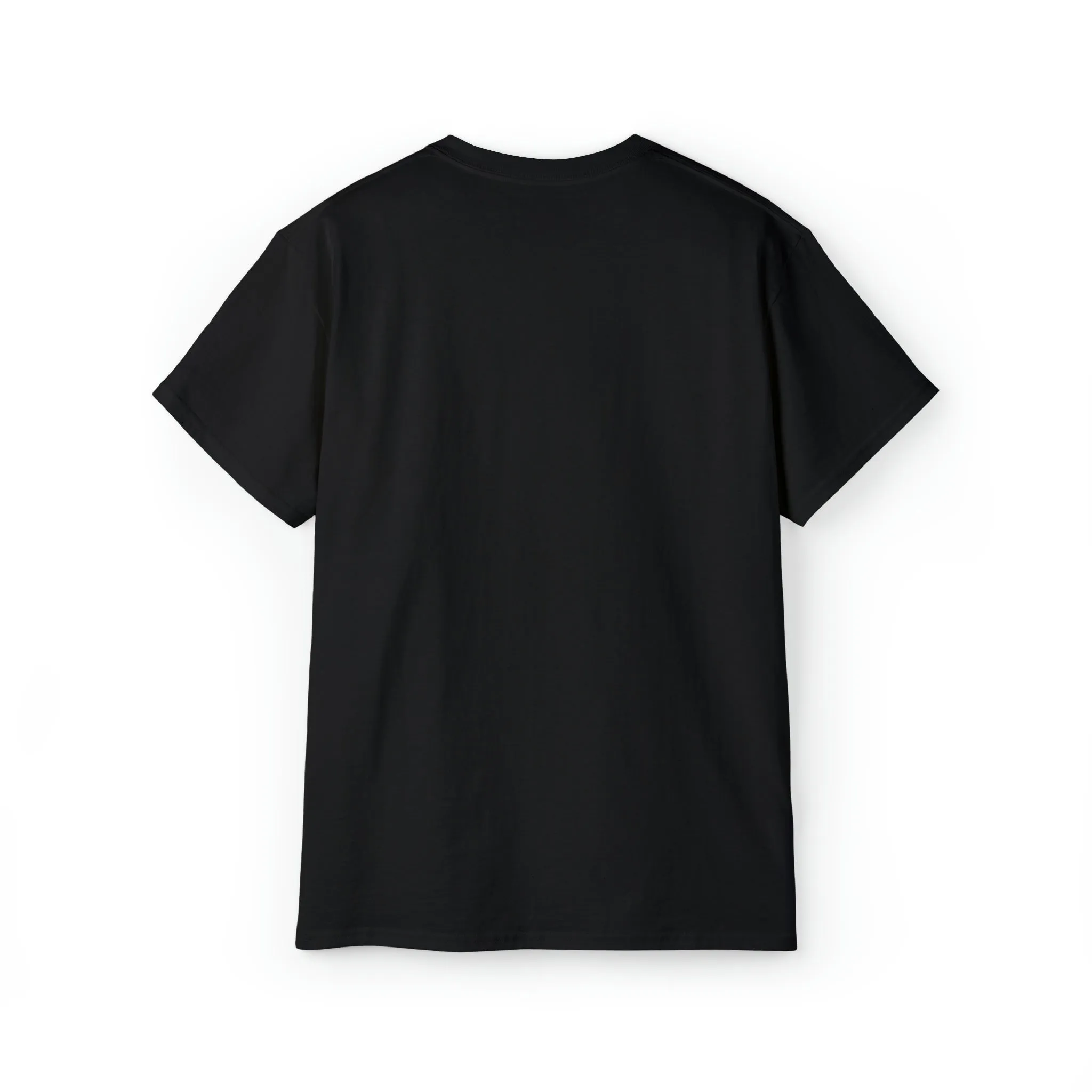 Ashburn Virginia T-Shirt