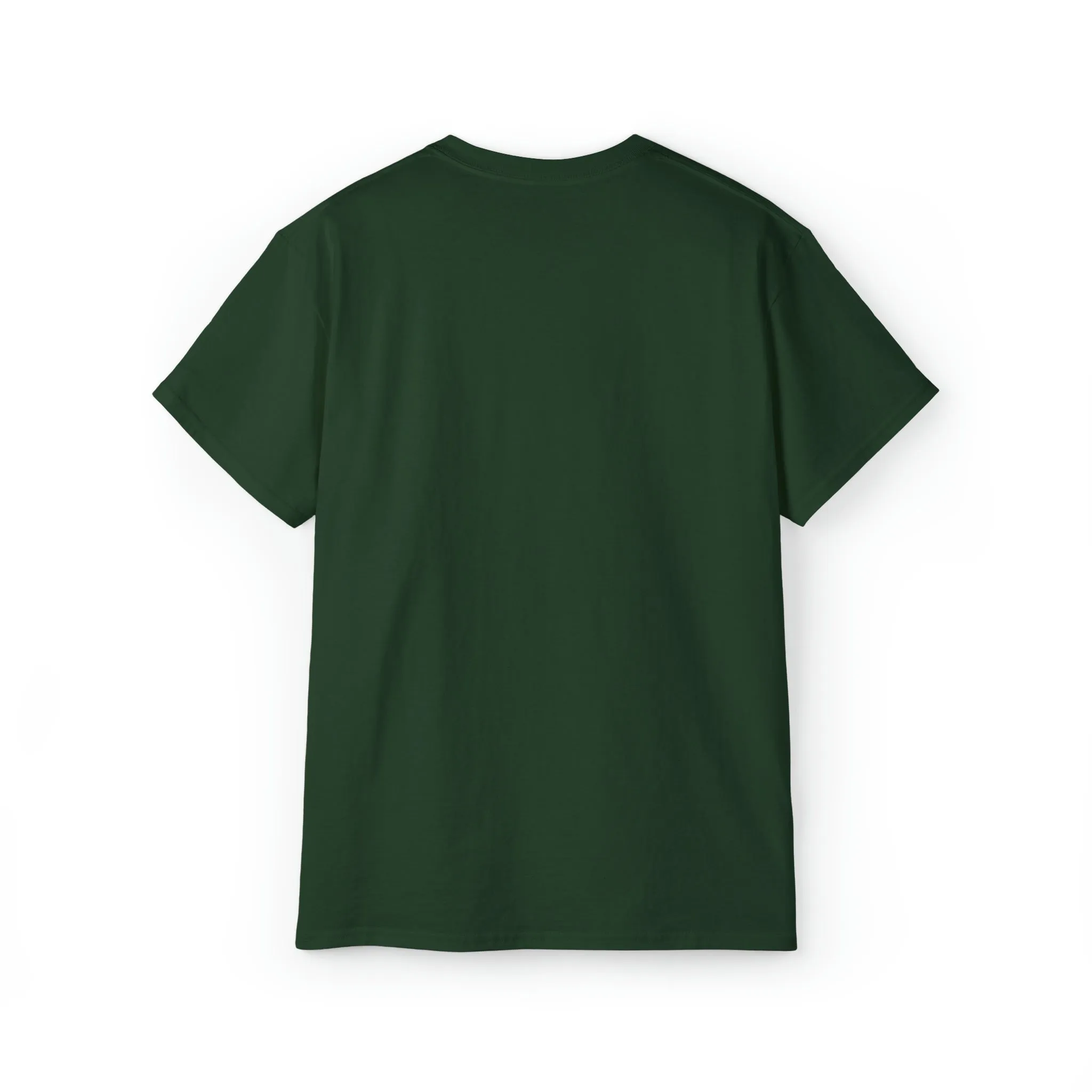 Ashburn Virginia T-Shirt