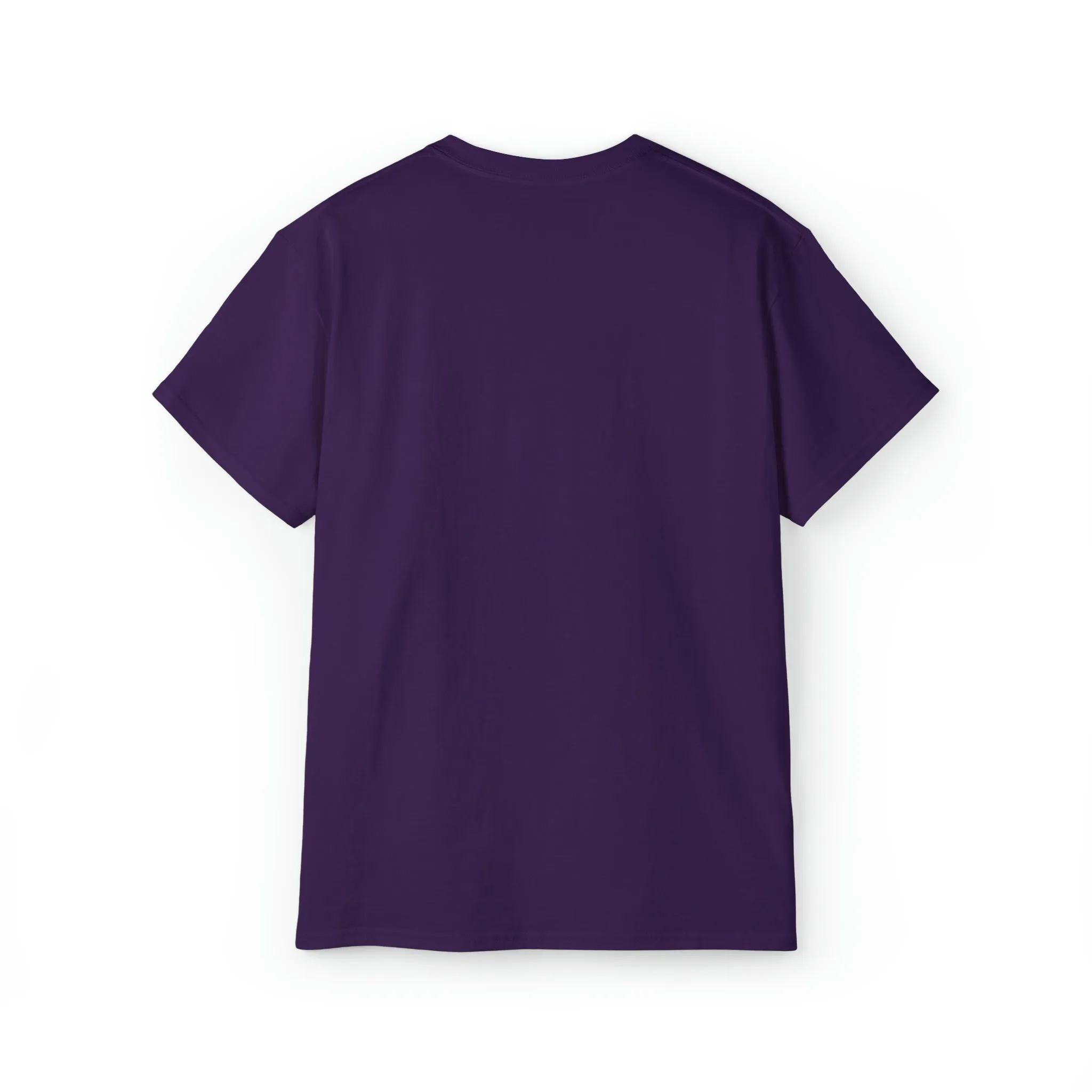 Ashburn Virginia T-Shirt