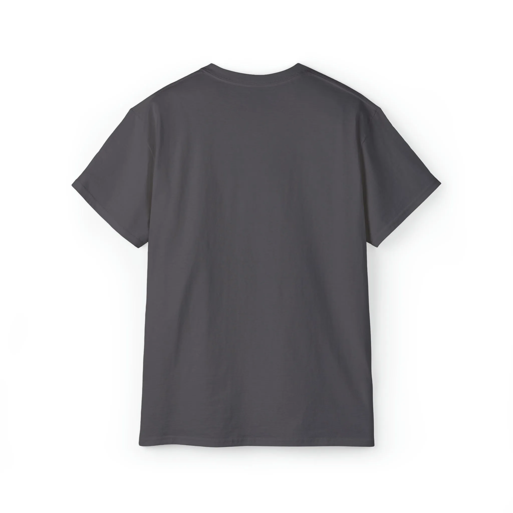 Ashburn Virginia T-Shirt