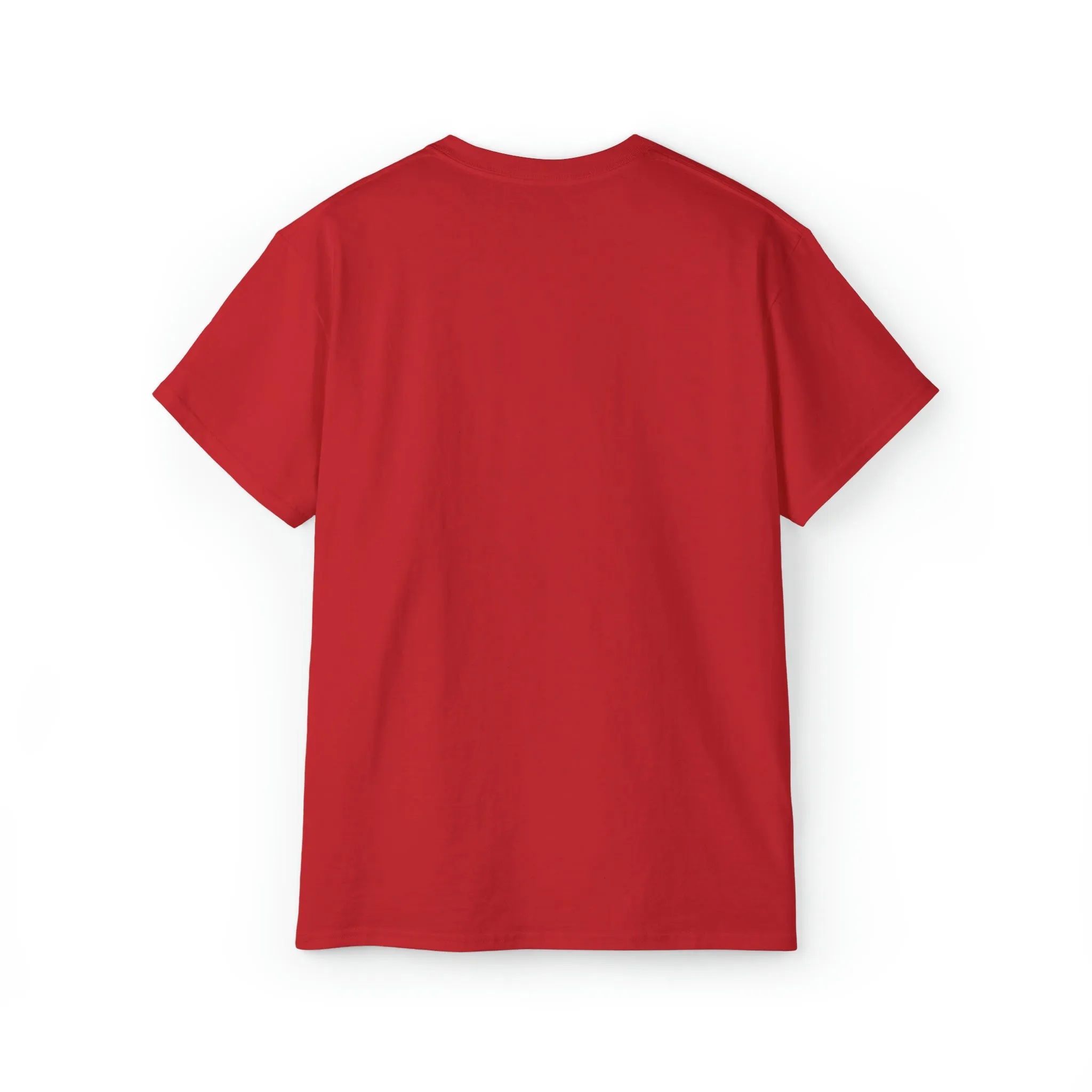 Ashburn Virginia T-Shirt