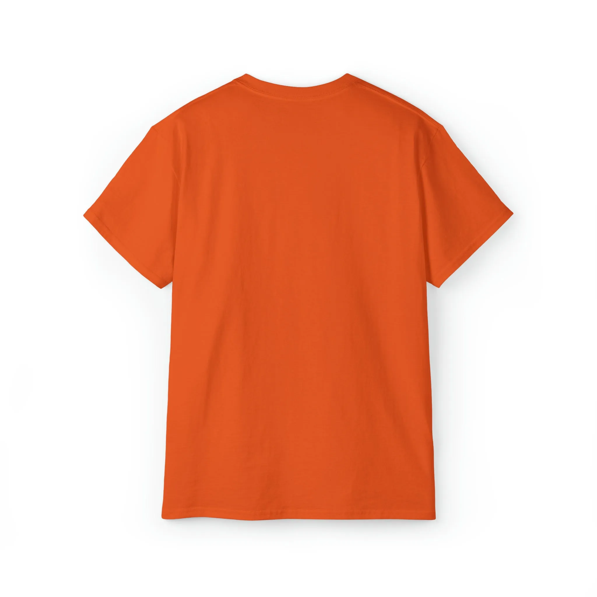 Ashburn Virginia T-Shirt