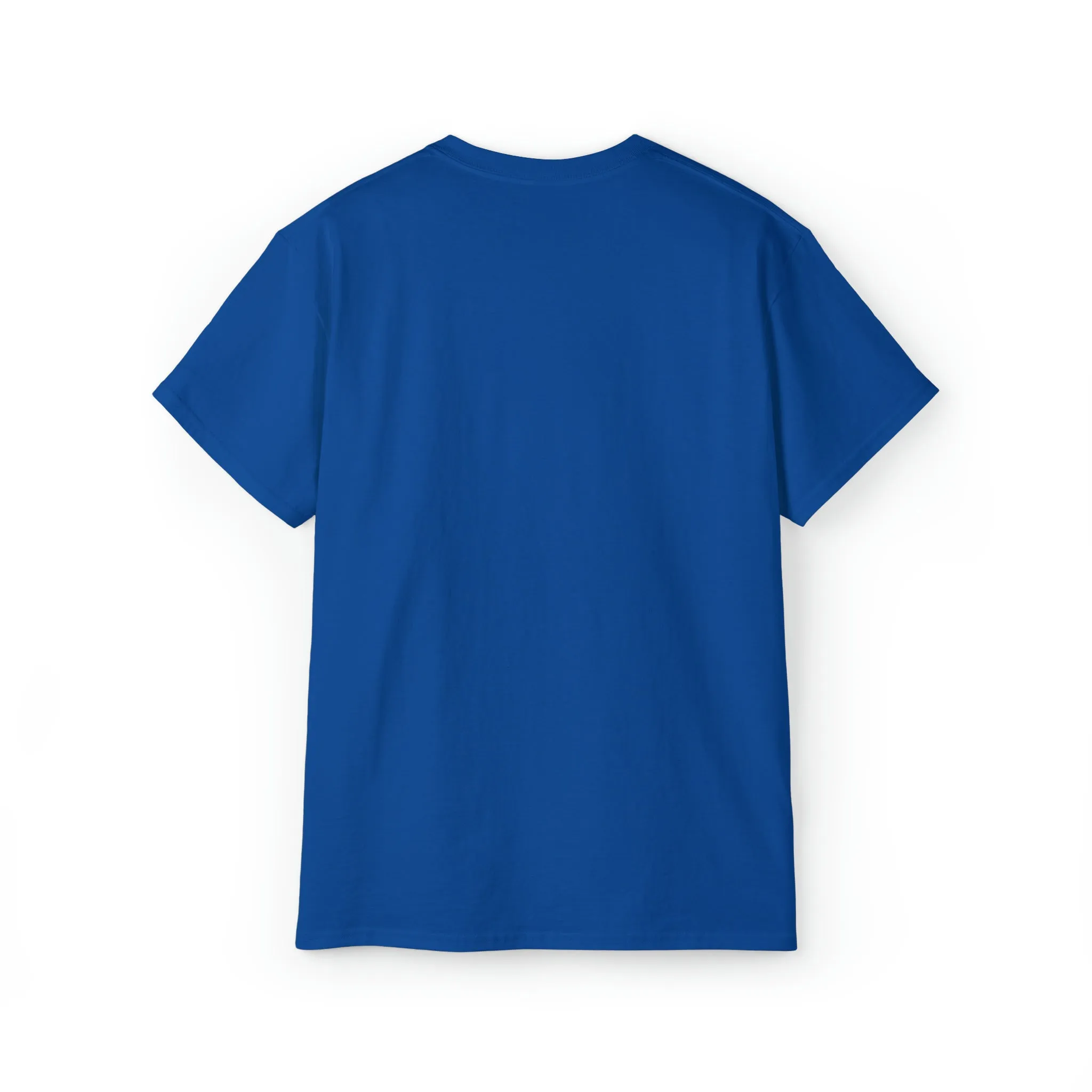 Ashburn Virginia T-Shirt