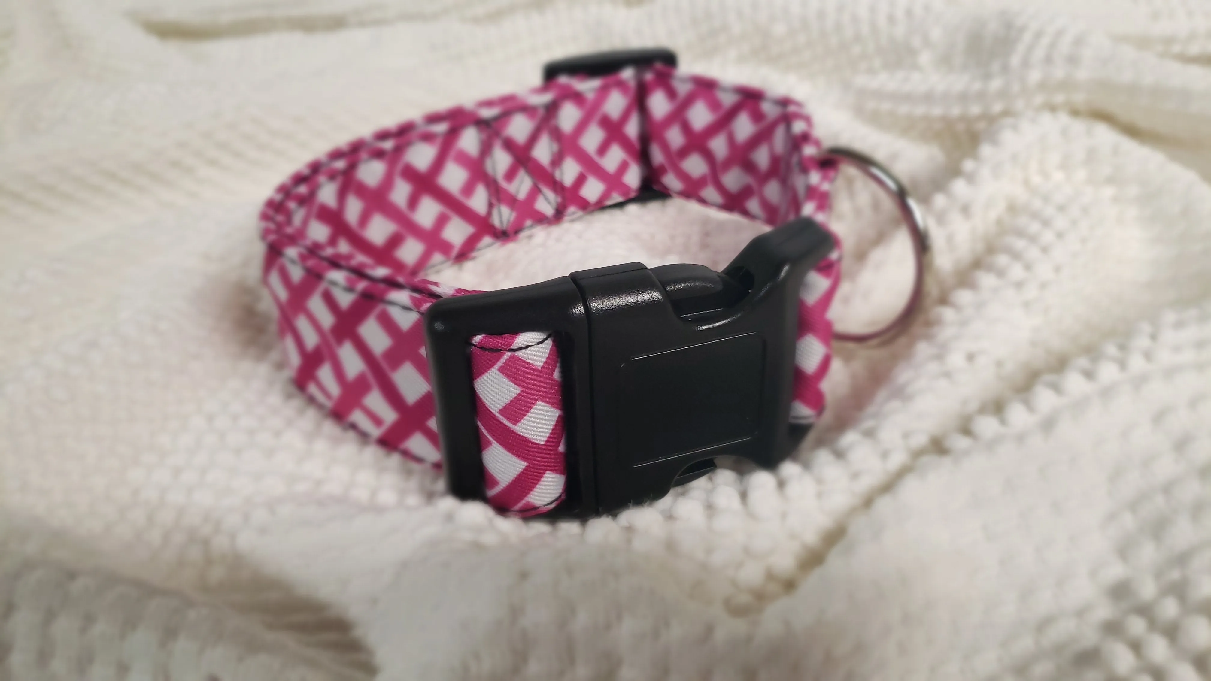Colorful Extra Wide Fashion Dog Collars