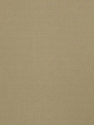 Connect - Pine