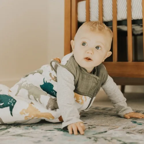 Dino Friends Cotton Muslin Quilted Sleep Bag