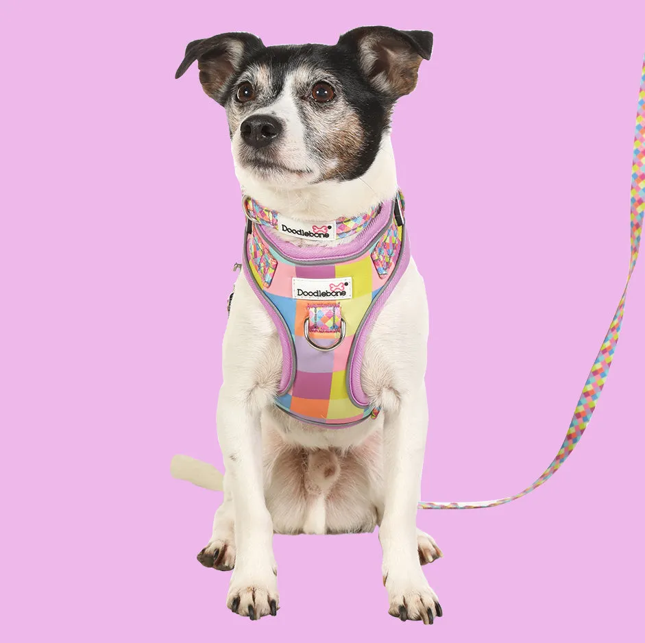 DoodleBone AirMesh Harness Retro
