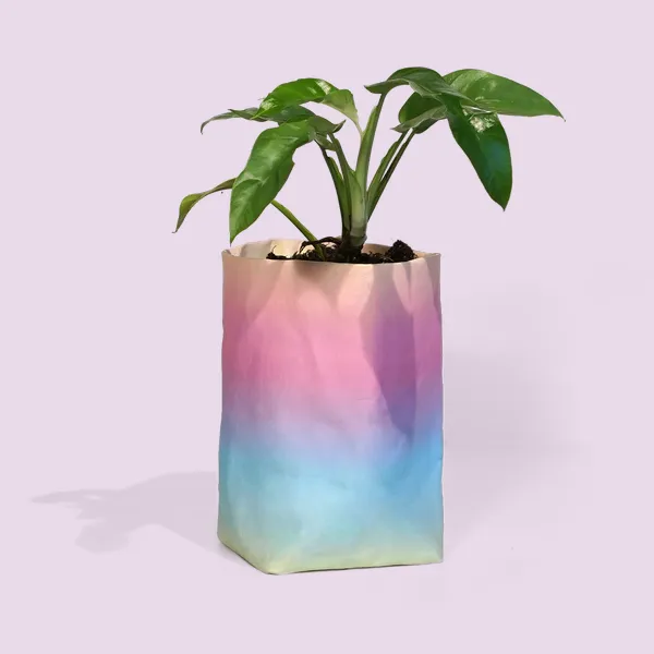 Happy Pot Rainbow