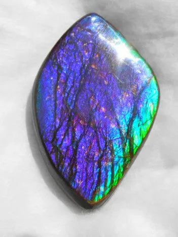 Large 55 x 34 mm Natural  Free Form . FFN 242  Ammolite   ナチュラル　ルース　アンモライト フリーフォーム