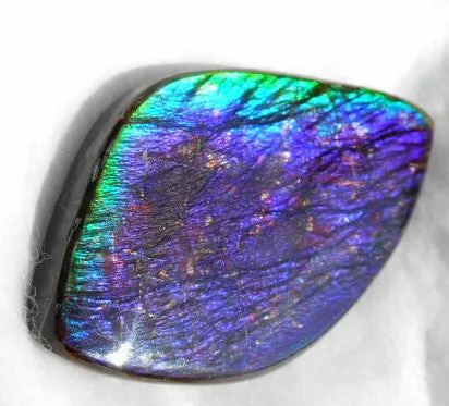Large 55 x 34 mm Natural  Free Form . FFN 242  Ammolite   ナチュラル　ルース　アンモライト フリーフォーム