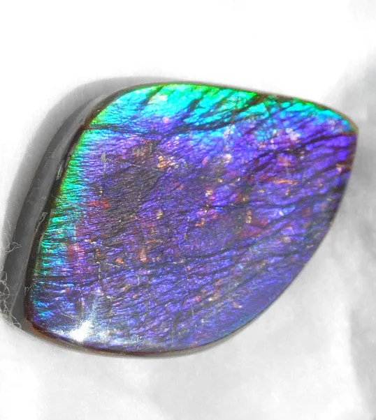 Large 55 x 34 mm Natural  Free Form . FFN 242  Ammolite   ナチュラル　ルース　アンモライト フリーフォーム