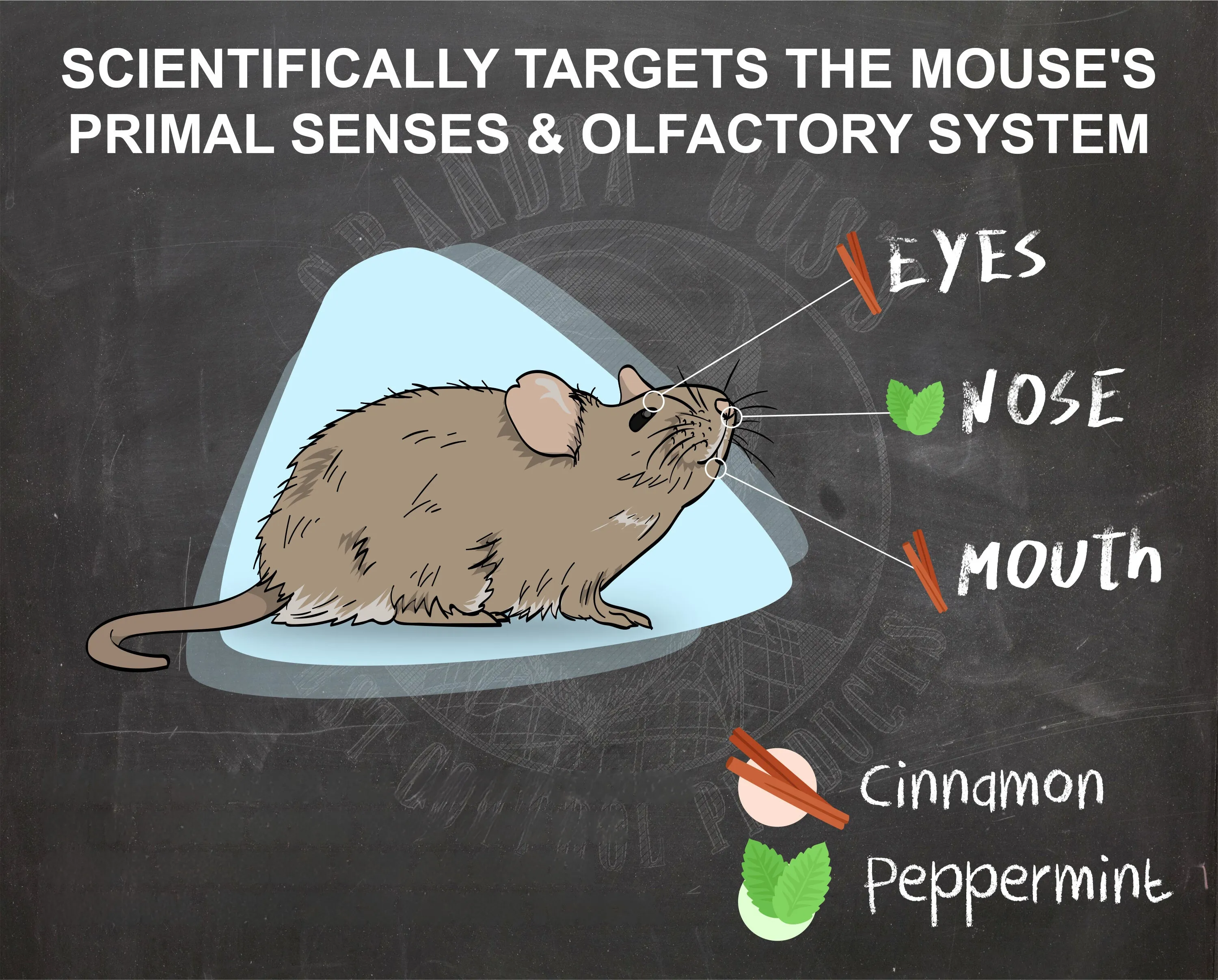 Rodent Repellent Spray