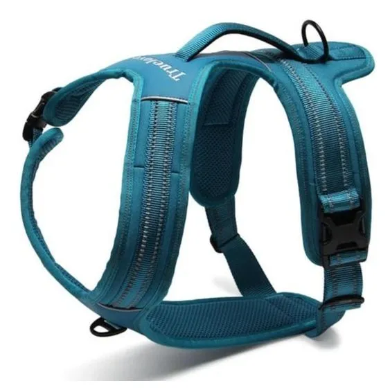 True Love Heavy Duty Sports Dog Harness - Blue, XL
