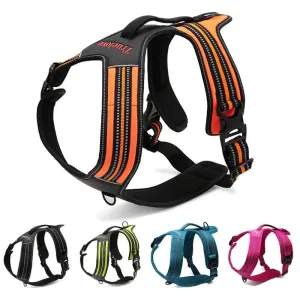 True Love Heavy Duty Sports Dog Harness - Neon Yellow, L