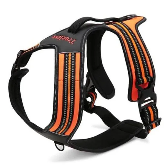 True Love Heavy Duty Sports Dog Harness - Orange, S