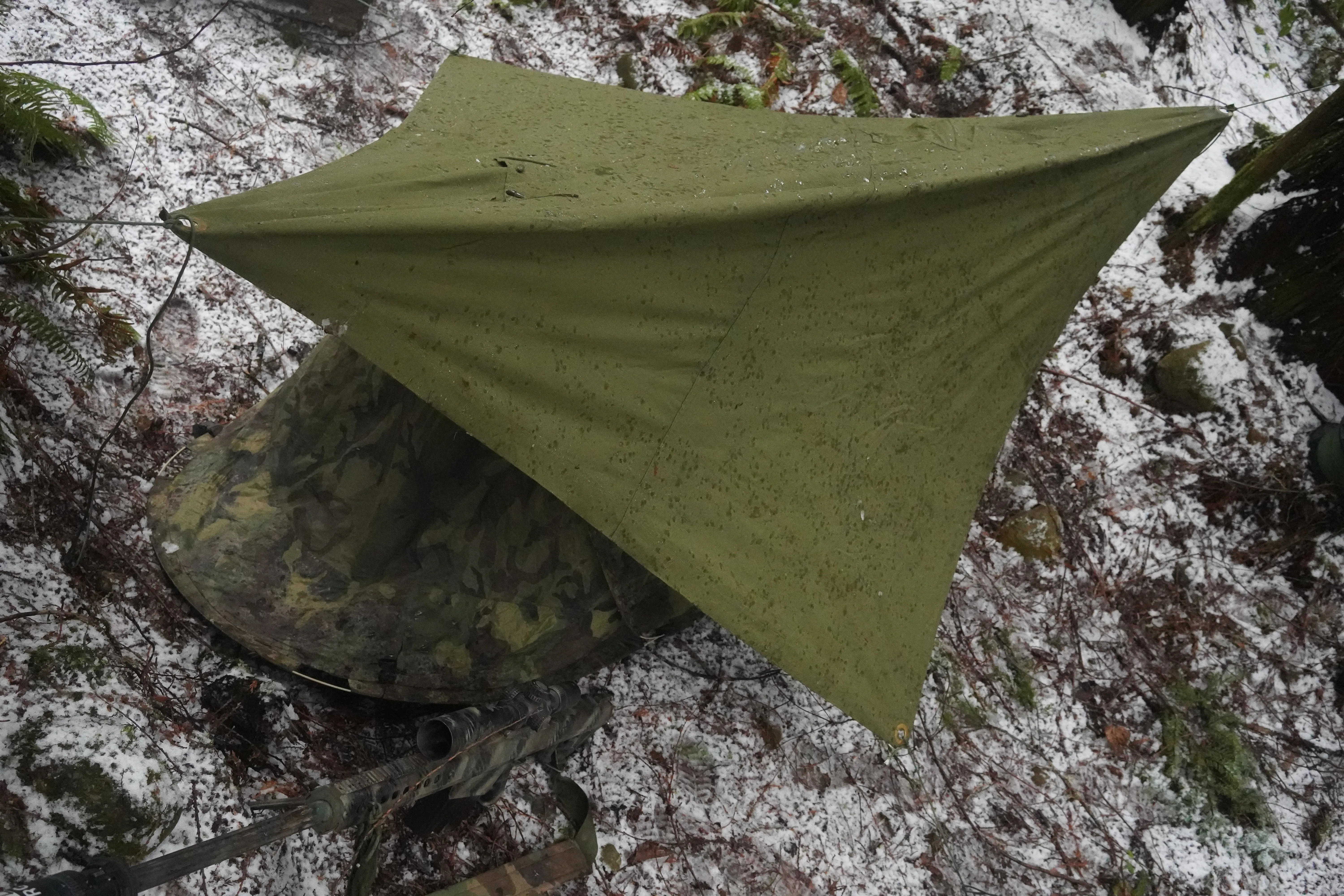 USGI Iguana Style Pop Up Tents w/ Netting