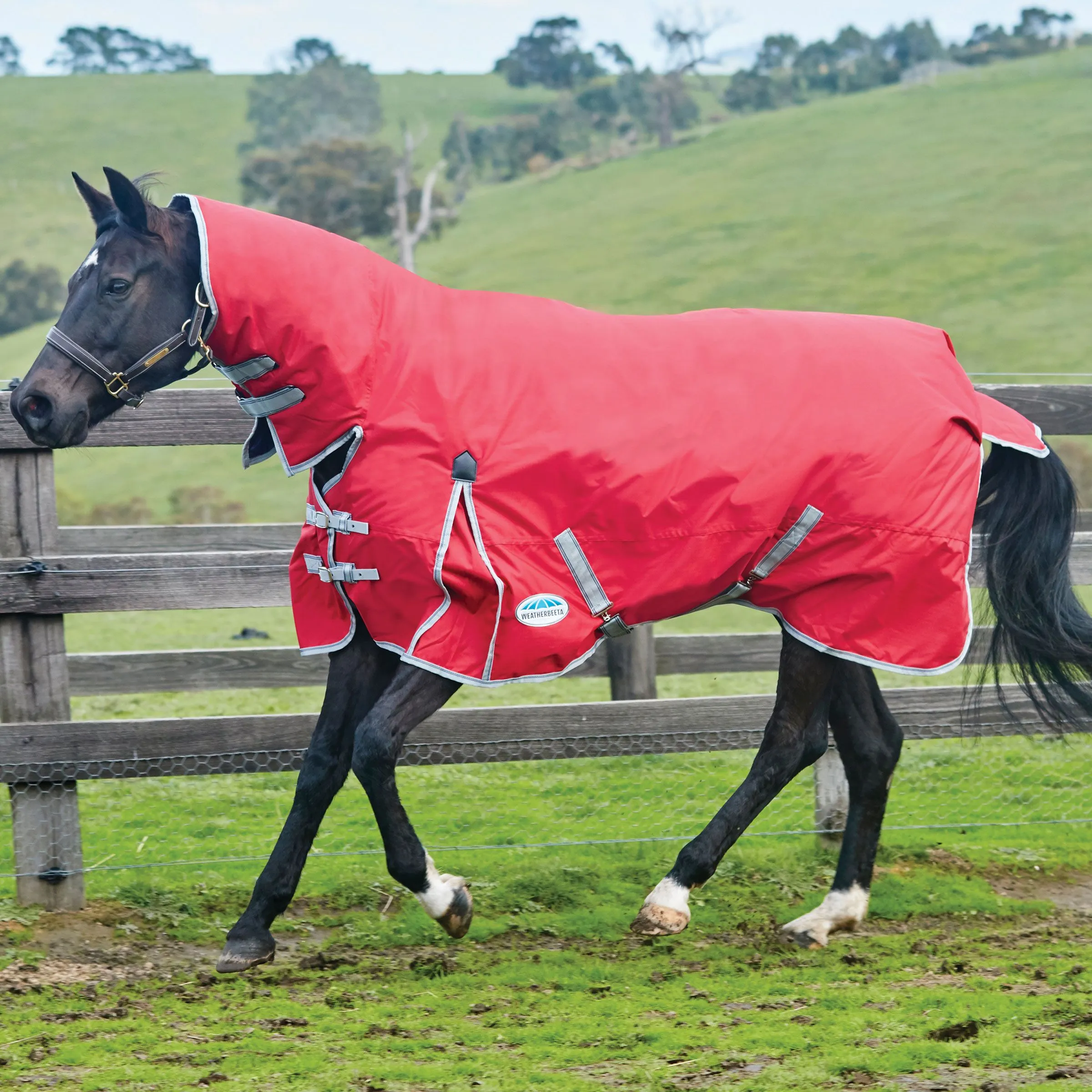 Weatherbeeta Comfitec Classic Combo Neck - Medium 220g