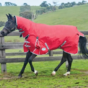 Weatherbeeta Comfitec Classic Combo Neck - Medium 220g