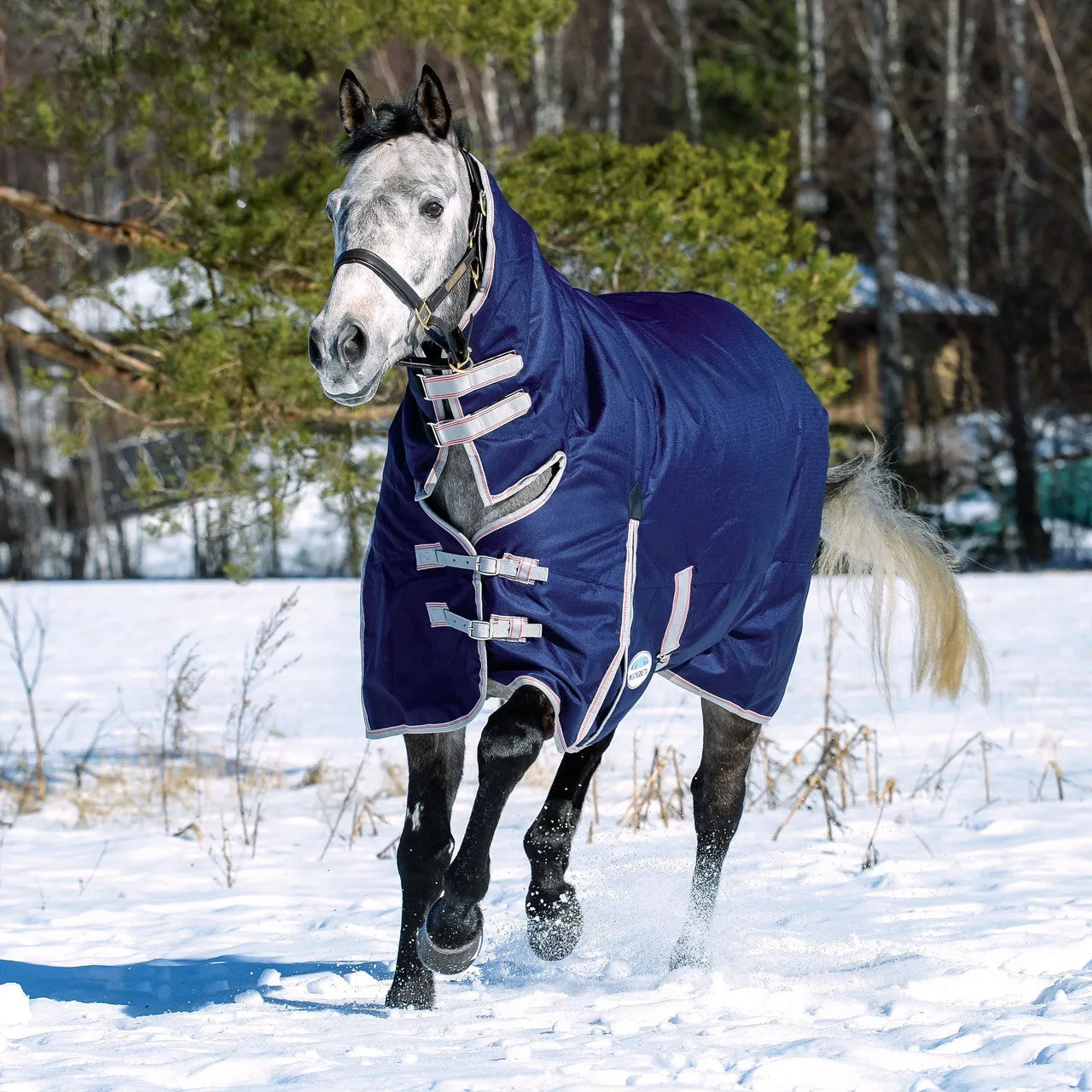 Weatherbeeta Comfitec Essential Combo Turnout Blanket - Heavy 360g