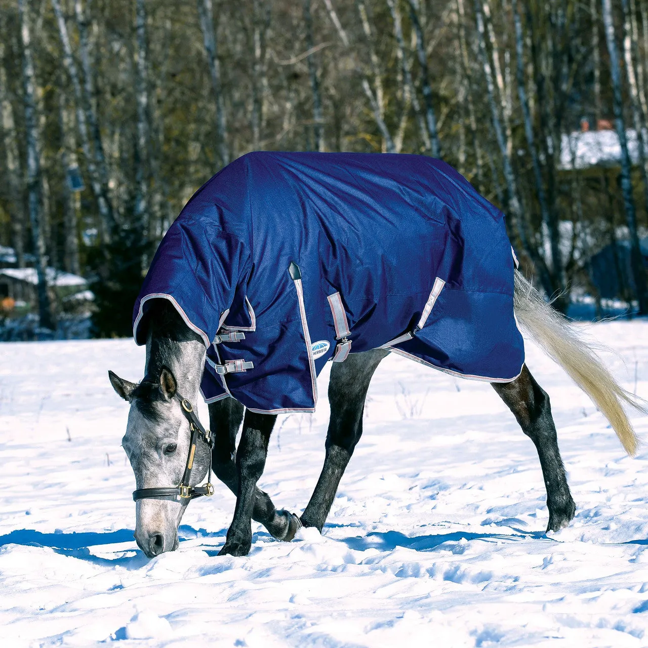 Weatherbeeta Comfitec Essential Combo Turnout Blanket - Heavy 360g
