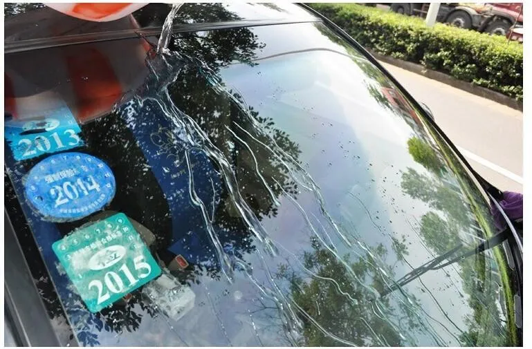 Windshield Water Repellent